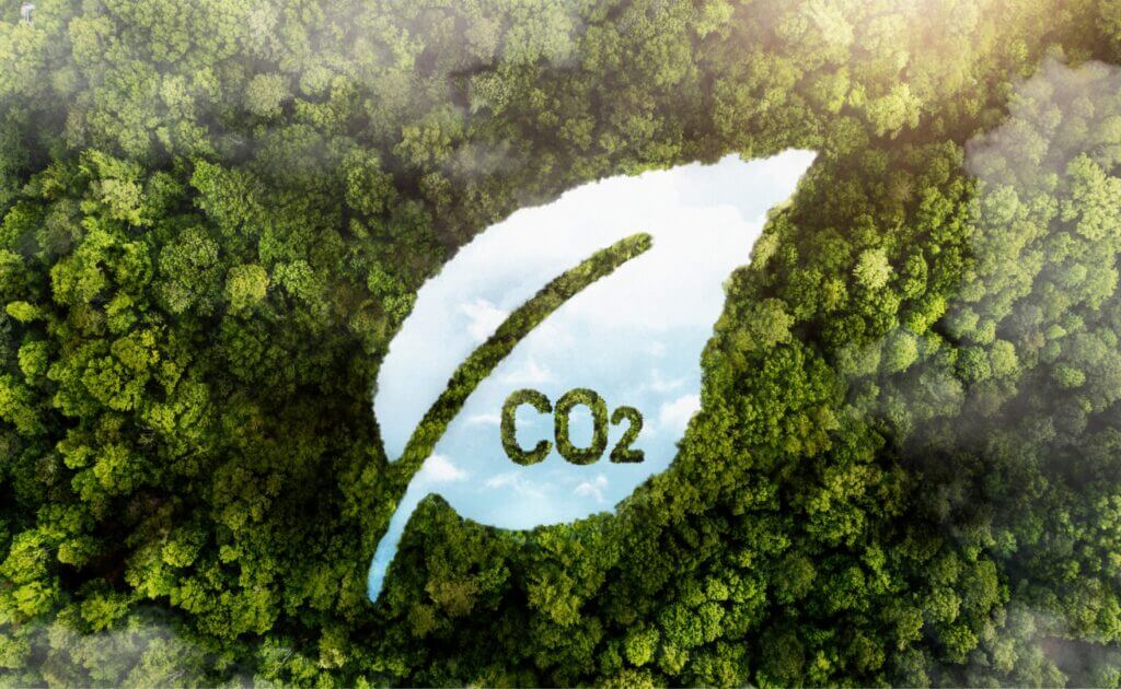 trees sequester co2 banner