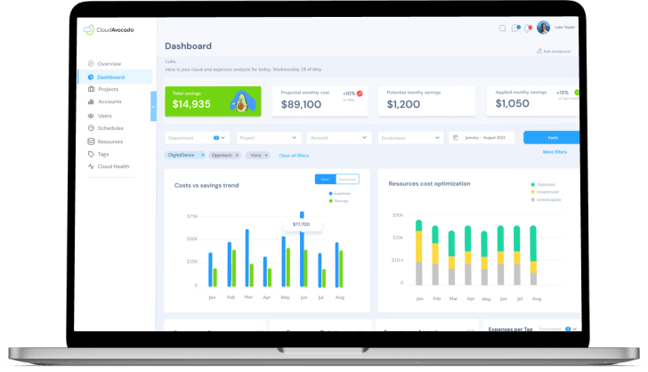 AWS cost optimization tool screenshot